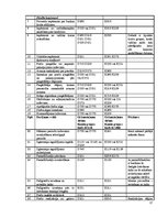 Prakses atskaite 'Grāmatvedības un iekšējā audita problēmu izpēte', 17.