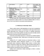 Prakses atskaite 'Grāmatvedības un iekšējā audita problēmu izpēte', 18.