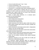 Prakses atskaite 'Grāmatvedības un iekšējā audita problēmu izpēte', 19.