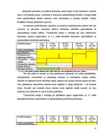Prakses atskaite 'Grāmatvedības un iekšējā audita problēmu izpēte', 22.