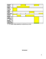 Prakses atskaite 'Grāmatvedības un iekšējā audita problēmu izpēte', 28.