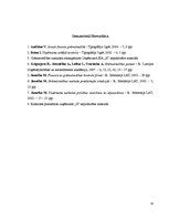 Prakses atskaite 'Grāmatvedības un iekšējā audita problēmu izpēte', 33.