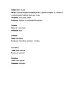 Prakses atskaite 'Kvalifikācijas prakse pirmsskolā', 1.