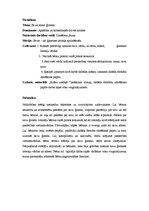 Prakses atskaite 'Kvalifikācijas prakse pirmsskolā', 2.