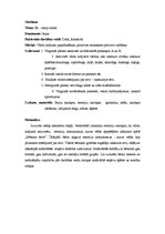 Prakses atskaite 'Kvalifikācijas prakse pirmsskolā', 3.