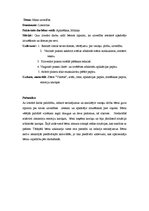 Prakses atskaite 'Kvalifikācijas prakse pirmsskolā', 5.