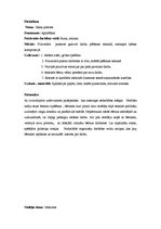 Prakses atskaite 'Kvalifikācijas prakse pirmsskolā', 6.