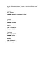 Prakses atskaite 'Kvalifikācijas prakse pirmsskolā', 7.