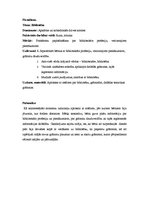 Prakses atskaite 'Kvalifikācijas prakse pirmsskolā', 8.