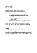 Prakses atskaite 'Kvalifikācijas prakse pirmsskolā', 9.