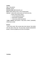 Prakses atskaite 'Kvalifikācijas prakse pirmsskolā', 10.