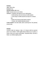 Prakses atskaite 'Kvalifikācijas prakse pirmsskolā', 12.