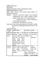 Prakses atskaite 'Kvalifikācijas prakse pirmsskolā', 13.