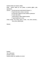 Prakses atskaite 'Kvalifikācijas prakse pirmsskolā', 21.