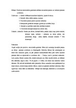 Prakses atskaite 'Kvalifikācijas prakse pirmsskolā', 22.