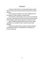 Referāts 'Kas ir organizācija? Organizācijas misija, mērķi, resursi. Menedžments un tā lom', 10.