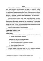 Referāts 'Globalizācijas ekonomiskais saturs un tās ietekme uz pasaules tirgu', 3.