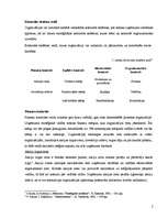 Konspekts 'Stratēģiskās kontroles sistēmas izveidošana', 2.