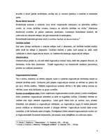 Konspekts 'Stratēģiskās kontroles sistēmas izveidošana', 4.