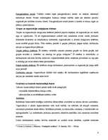 Konspekts 'Stratēģiskās kontroles sistēmas izveidošana', 6.