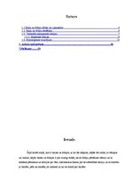 Referāts 'Bailes un fobijas', 1.