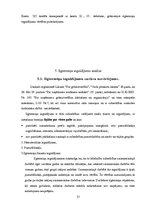 Prakses atskaite 'SIA "X" prakses atskaite', 13.