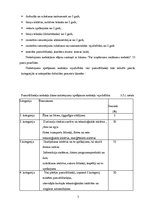 Prakses atskaite 'SIA "X" prakses atskaite', 16.