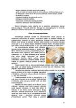 Referāts 'Pārsegumu rekonstrukcija', 11.