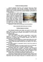 Referāts 'Pārsegumu rekonstrukcija', 16.