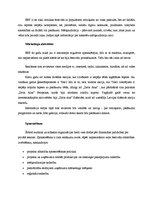 Eseja 'Festivāls "Baltic Beach Party"', 3.