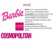 Prezentācija 'Logo krāsu nozīme', 2.