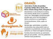 Prezentācija 'Logo krāsu nozīme', 6.