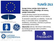 Prezentācija 'Logo krāsu nozīme', 10.