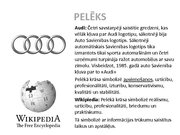 Prezentācija 'Logo krāsu nozīme', 12.