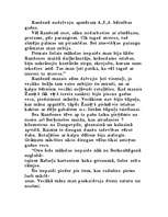 Referāts 'Rainis', 5.