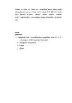 Paraugs 'Laboratorijas darbi kartogrāfijā', 16.