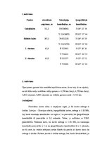 Paraugs 'Laboratorijas darbi kartogrāfijā', 32.