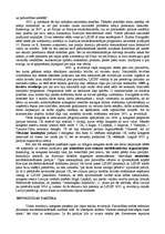 Referāts '1905.gada revolūcija Latvijā', 14.