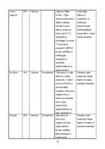 Referāts 'Parīze kā tūrisma galamērķis', 19.