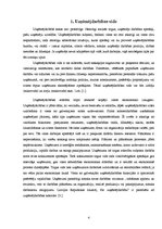 Referāts 'Uzņēmējdarbības aktualitātes. Konkurences vide', 4.