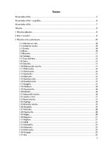 Konspekts 'Mūzika', 3.