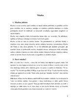 Konspekts 'Mūzika', 8.