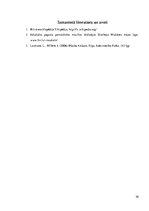 Konspekts 'Mūzika', 30.