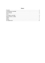 Referāts 'Lietišķās etiķetes īpatnības Vācijā', 3.