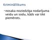 Prezentācija 'Krimināllikums', 2.
