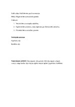 Konspekts 'Ziemassvētki rūķu mājās', 2.