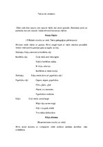 Konspekts 'Ziemassvētki rūķu mājās', 4.