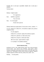 Konspekts 'Ziemassvētki rūķu mājās', 6.