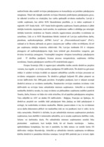 Diplomdarbs 'Efektīva neatkarīgā audita modelis', 8.