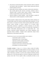 Diplomdarbs 'Efektīva neatkarīgā audita modelis', 19.